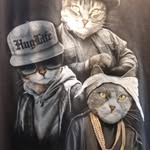 Andrew Schreck - @schreck745 - Instagram