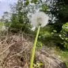 Andrew Schuh - @andrew.schuh3 - TikTok