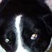 Andrew Schwan - Facebook