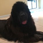 Andrew Schwantes - @andrewschwantes27 - Instagram