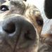 Andrew Schwing - Facebook