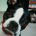 Andrew Sciandra - Facebook