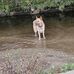 Andrew Searles - Facebook