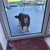 Andrew Searles - @andrew.searles4 - TikTok