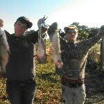 Andrew Seay - @andrewlogger - Instagram