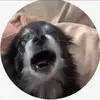 andrew_senra1 - @andrew_senra1 - TikTok