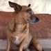 Andrew Senra - Facebook