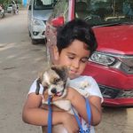 Andrew Sequeira - @andrew.d.sequeira - Instagram