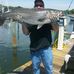 Andrew Serio - Facebook