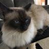 andrew.severn - @andrew.severn - TikTok