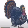 user6677106576105 - @andrew.shackle - TikTok