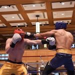 Andrew Sharpe - @andrew__sharpie - Instagram
