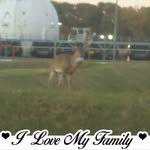 Andrew Shattuck - @shattuck.andrew - Instagram