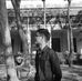 Andrew Shein - Facebook