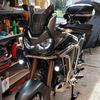 Andrew Sheldrick - @andrew.sheldrick - TikTok