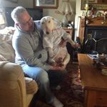 Andrew Sheward - @andrew.sheward - Instagram