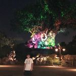 Andrew Shimalla - @andrewshimalla - Instagram