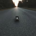 Andrew Shippee - @andrew_shippee13 - Instagram