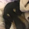Andrew Shorter - @andrew.shorter0 - TikTok