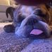 Andrew Showler - Facebook