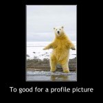 Andrew - @andrew_shupenus - Instagram