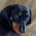 Andrew Siddall - Facebook
