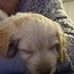 Andrew Sidney - Facebook