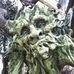 Andrew Sikes - Facebook