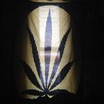 Andrew - @andrewsilvia.420 - Instagram