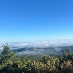@andrew_simonds44 - Instagram