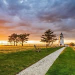 Andrew Simonds - @a_simonds1502 - Instagram