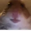 Andrew Sinclair - @andrewsinclair284 - TikTok