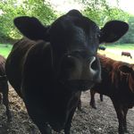 Andrew Sisson - @sisson_andrew - Instagram