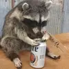 andrew - @andrews.lay - TikTok