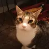 Andrew Slay - @andrew.slay7 - TikTok