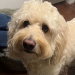 Andrew Slocum - @slocum_andrew - Instagram