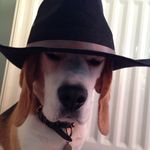 Andrew Smithson - @superfrog100 - Instagram