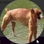 Andrew Smithson - @andrew_smithson2007475 - Instagram
