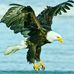 Andrew Salema - Facebook