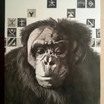 Andrew Somerville - @somervillead - Instagram