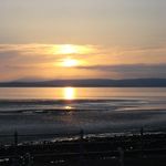 Andrew Soper - @craftyroos101 - Instagram