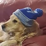 Andrew Souter - @andrewsouter68 - Instagram