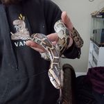 Andrew Spangenberg - @spangenberg.a - Instagram