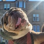 Manon-Andrew Sparling - @manonandrew2018 - Instagram