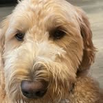 Andrew Spath - @mackpro99 - Instagram