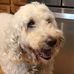 Andrew Spath - Facebook