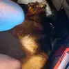 andrewspeer688 - @andrewspeer688 - TikTok