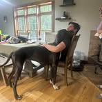 Andrew Sperling - Facebook
