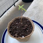 Jeffrey Andrew Sperling - @abagailtucker - Instagram