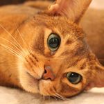 andrewthebest - @andrew.spotts - Instagram